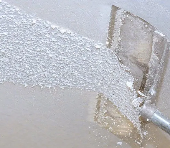 picture of a poconor ceiling removal